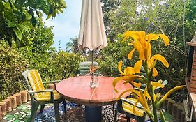 Canarian Cottage With Terrace Surrounded By Garden - Alisios