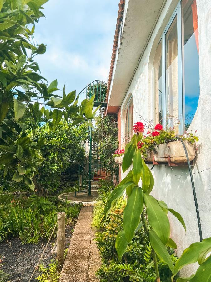 Canarian Cottage With Terrace Surrounded By Garden - Alisios La Orotava Exterior foto