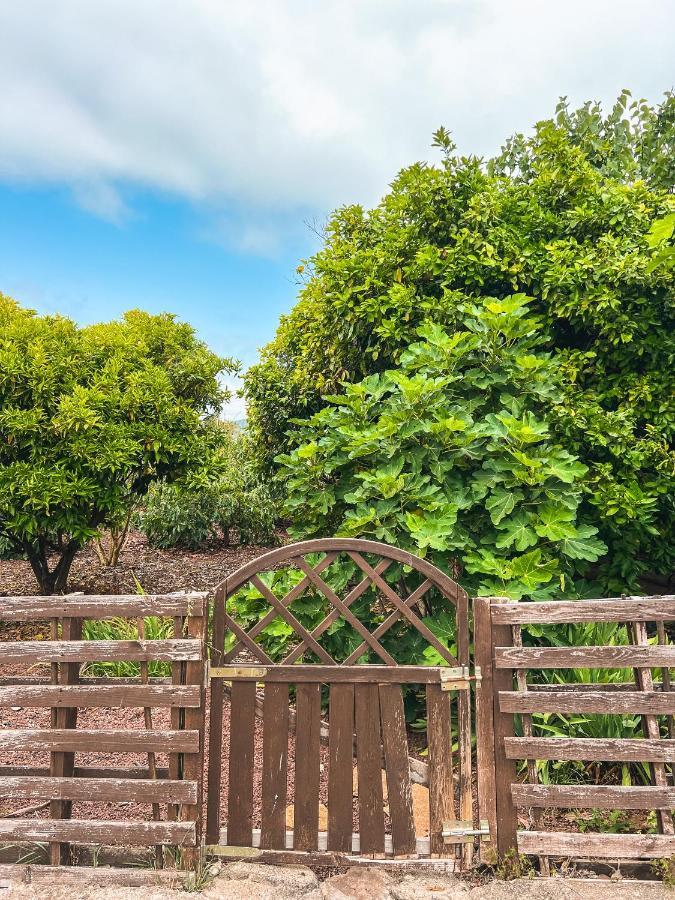 Canarian Cottage With Terrace Surrounded By Garden - Alisios La Orotava Exterior foto