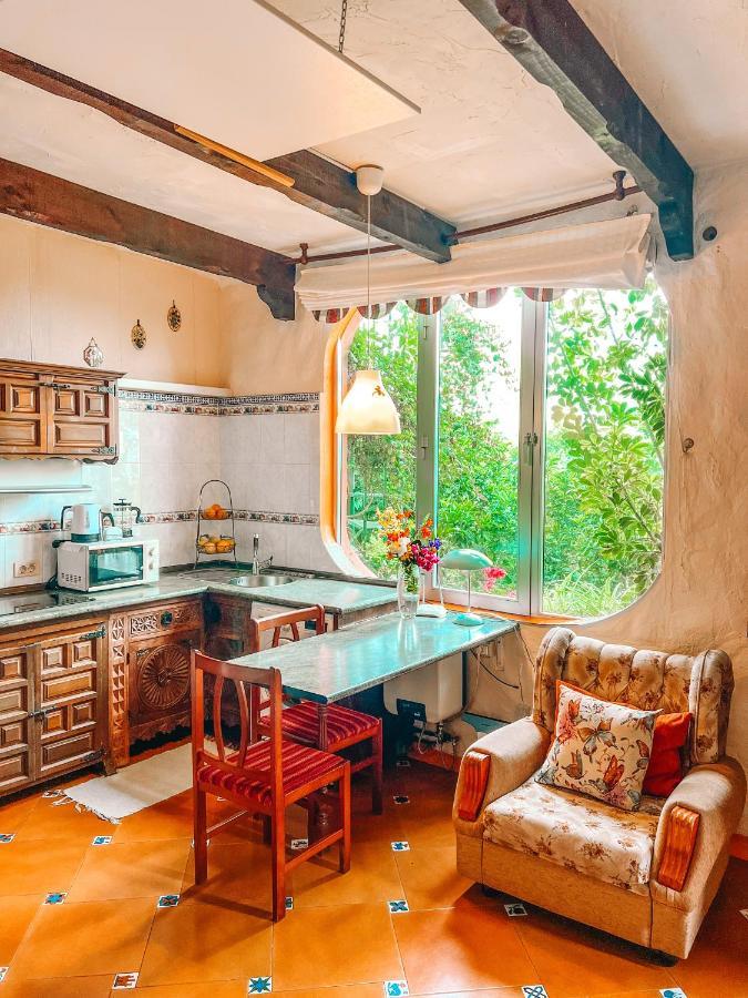 Canarian Cottage With Terrace Surrounded By Garden - Alisios La Orotava Exterior foto