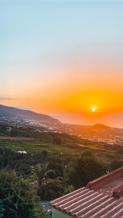 Canarian Cottage With Terrace Surrounded By Garden - Alisios La Orotava Exterior foto