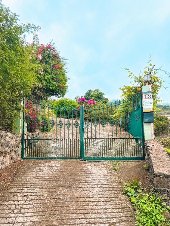 Canarian Cottage With Terrace Surrounded By Garden - Alisios La Orotava Exterior foto
